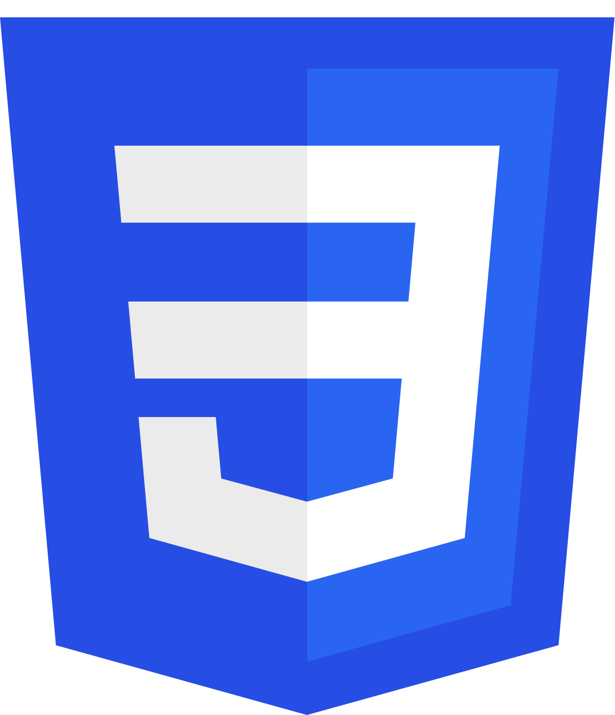 Logo de CSS3